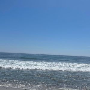 Meet your Posher, Dalia